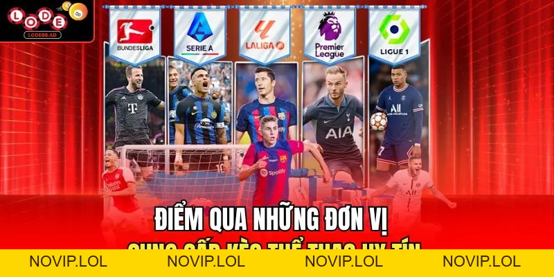 Thể Thao Lode88 | Tổng Hợp Thông Tin Và Sự Kiện Nổi Bật - Novip
