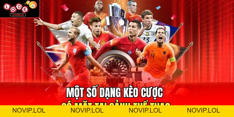 Thể Thao Lode88 | Tổng Hợp Thông Tin Và Sự Kiện Nổi Bật - Novip