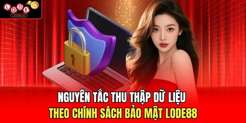 Chính Sách Bảo Mật Lode88 | Lá Chắn Ngăn Chặn Mọi Xâm Nhập - Novip